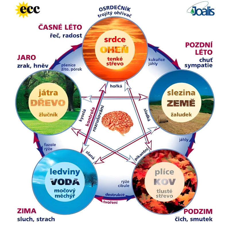 Mapa pěti prvků tradiční čínské medicíny